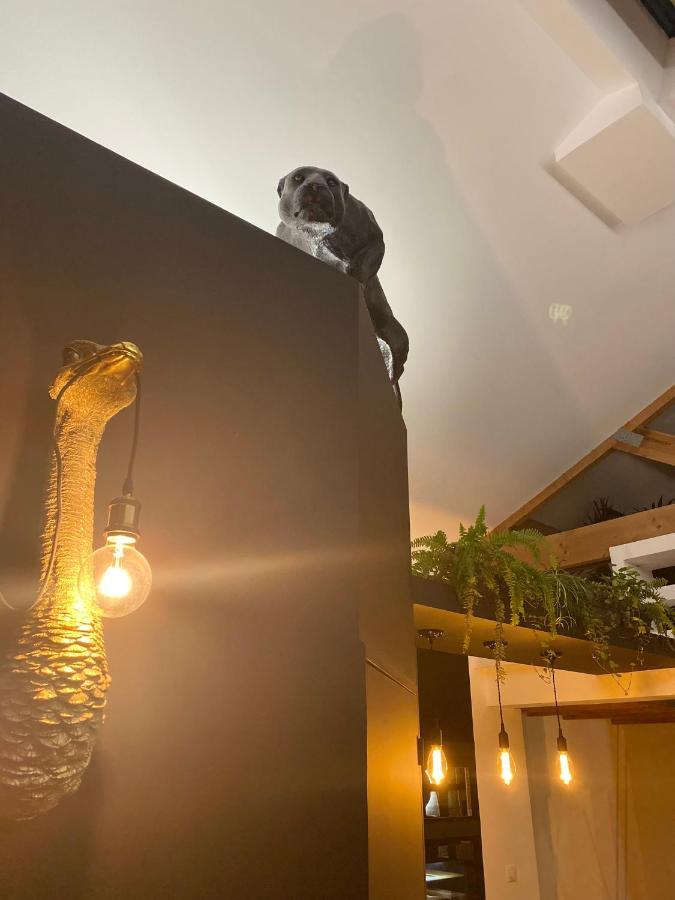 Pasithea Loft Privatif Holiday home