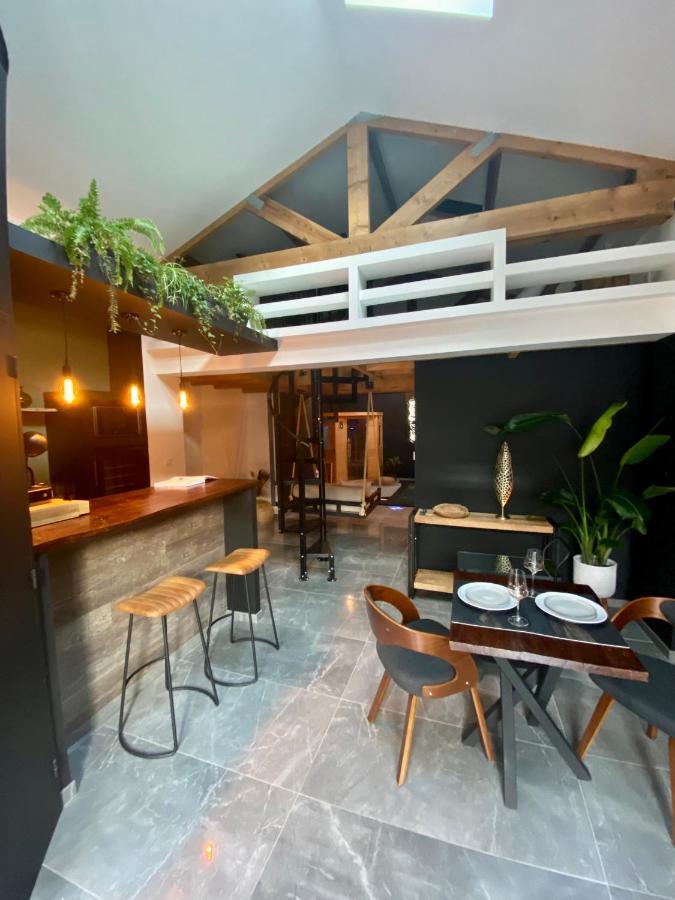 Holiday home Pasithea Loft Privatif *